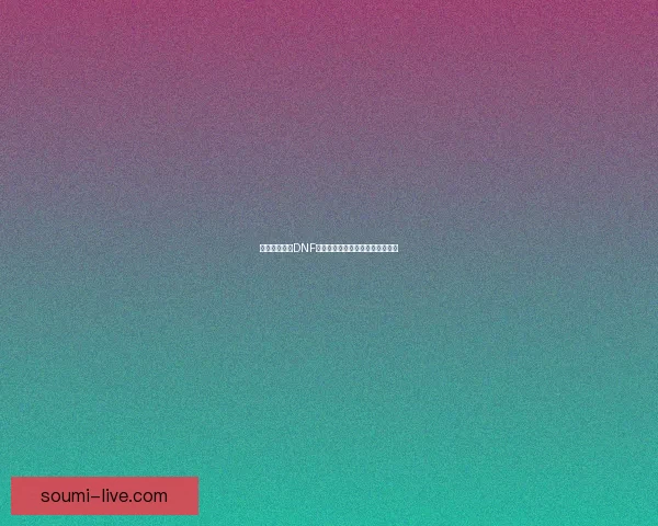 如何有效解决DNF物品栏空间不足的问题与优化建议