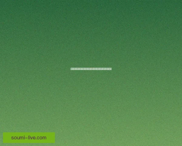 梦幻西游翰墨之道探秘：传承书法艺术与游戏文化的完美融合